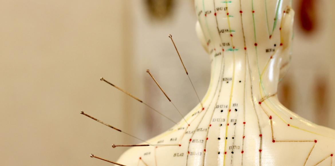 AFA association française d'acupuncture