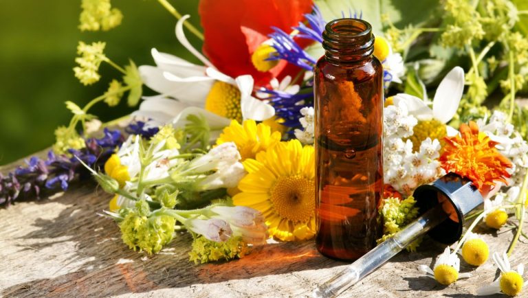 Se soigner avec les plantes : une médecine douce et naturelle