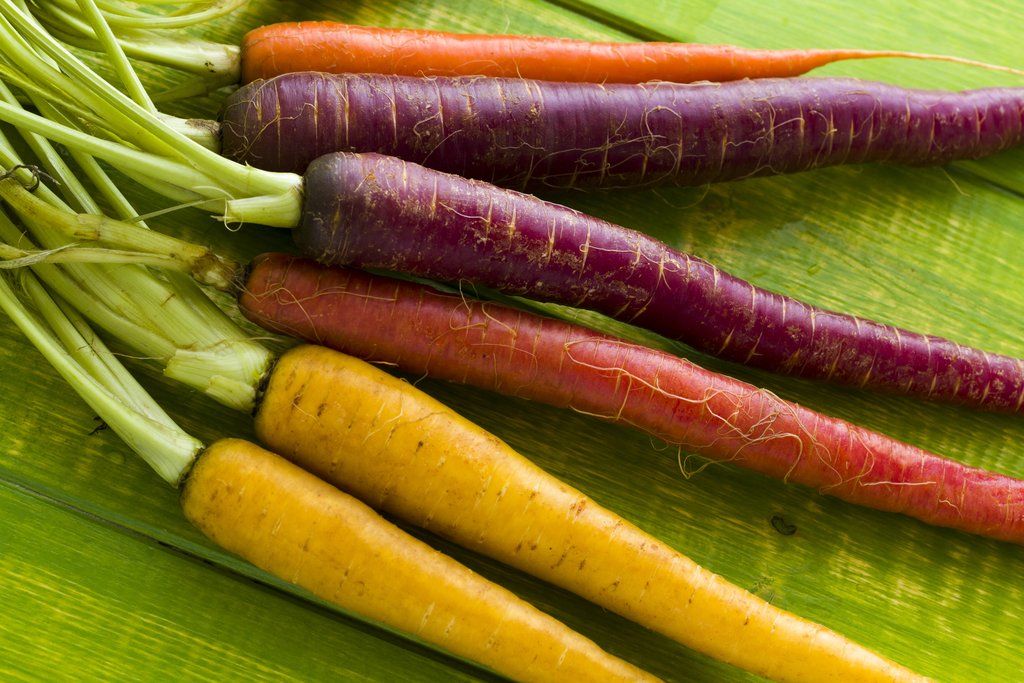 Les vertus de la carotte