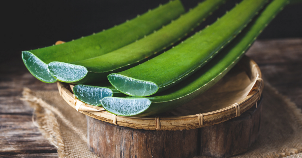 Aloe verra pour les cheveux