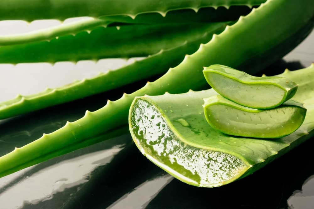 Les dangers de l'aloe verra