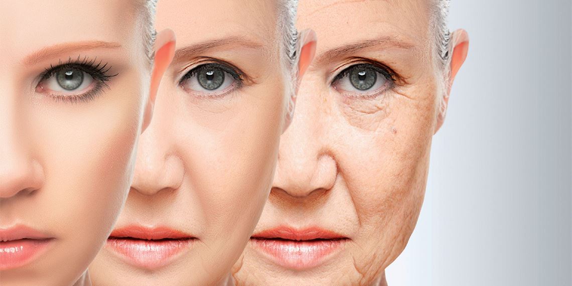 Comment la peau vieillit